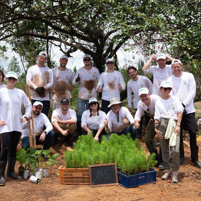 plustrees-image2-rfbp9hluizjfy3jq8gagdn30foecnyle1cpa6q5vtk