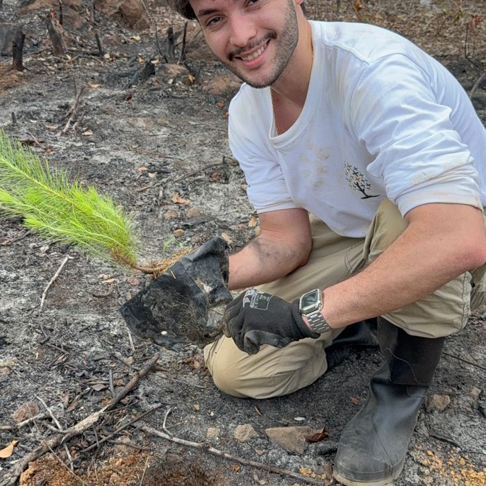 plustrees-image3-rfbp9hluizjfy3jq8gagdn30foecnyle1cpa6q5vtk