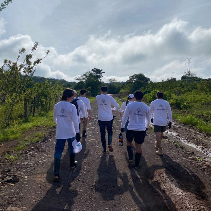 plustrees-image4-rfbp9ijoptkq9pid2yp2y4uh129pvnp4dhcro04hnc